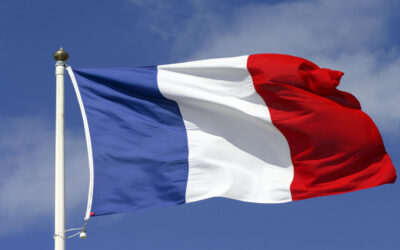 Communiqué de Presse Stone Expert